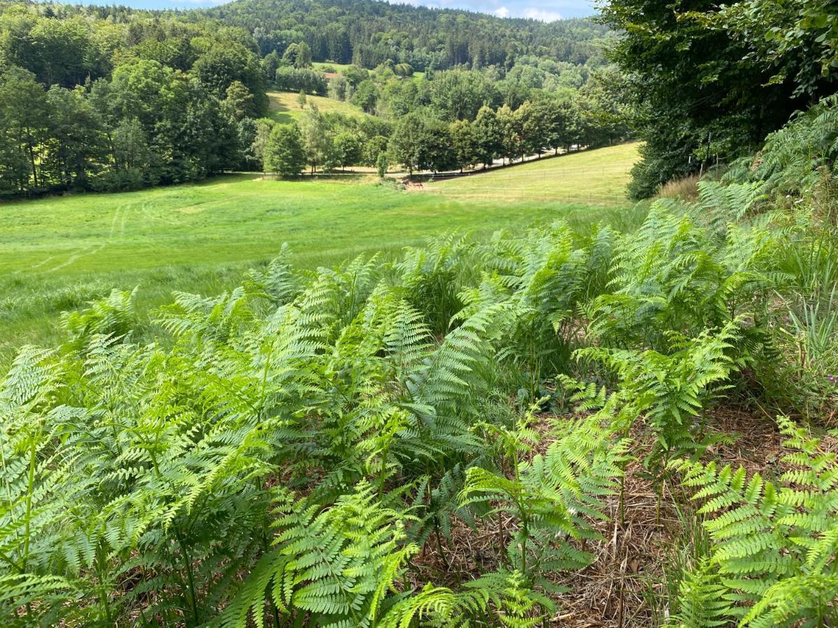 Huettenflair Im Gut Sonnenwald Schollnach Bagian luar foto